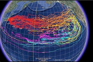 radiation2015b.jpg
