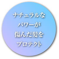 ナチュラルなパワーが傷んだ髪をプロテクト